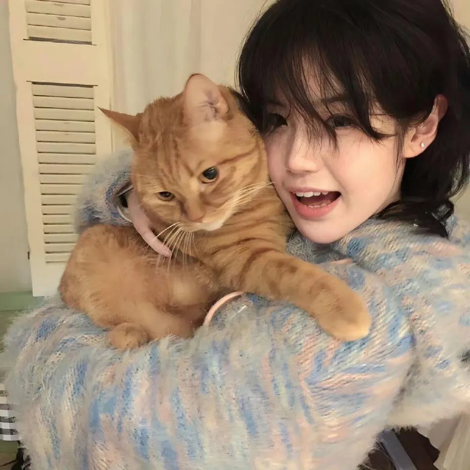 你赐我满城风雨