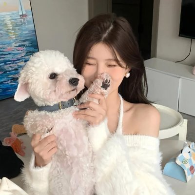 我靠摆摊买下一座岛